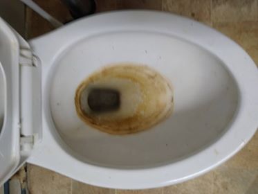 Toilet Before